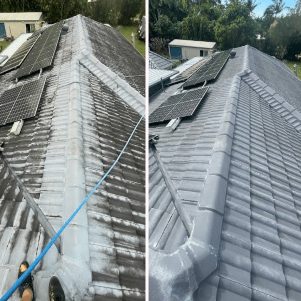 a plus tile roof cleaning
